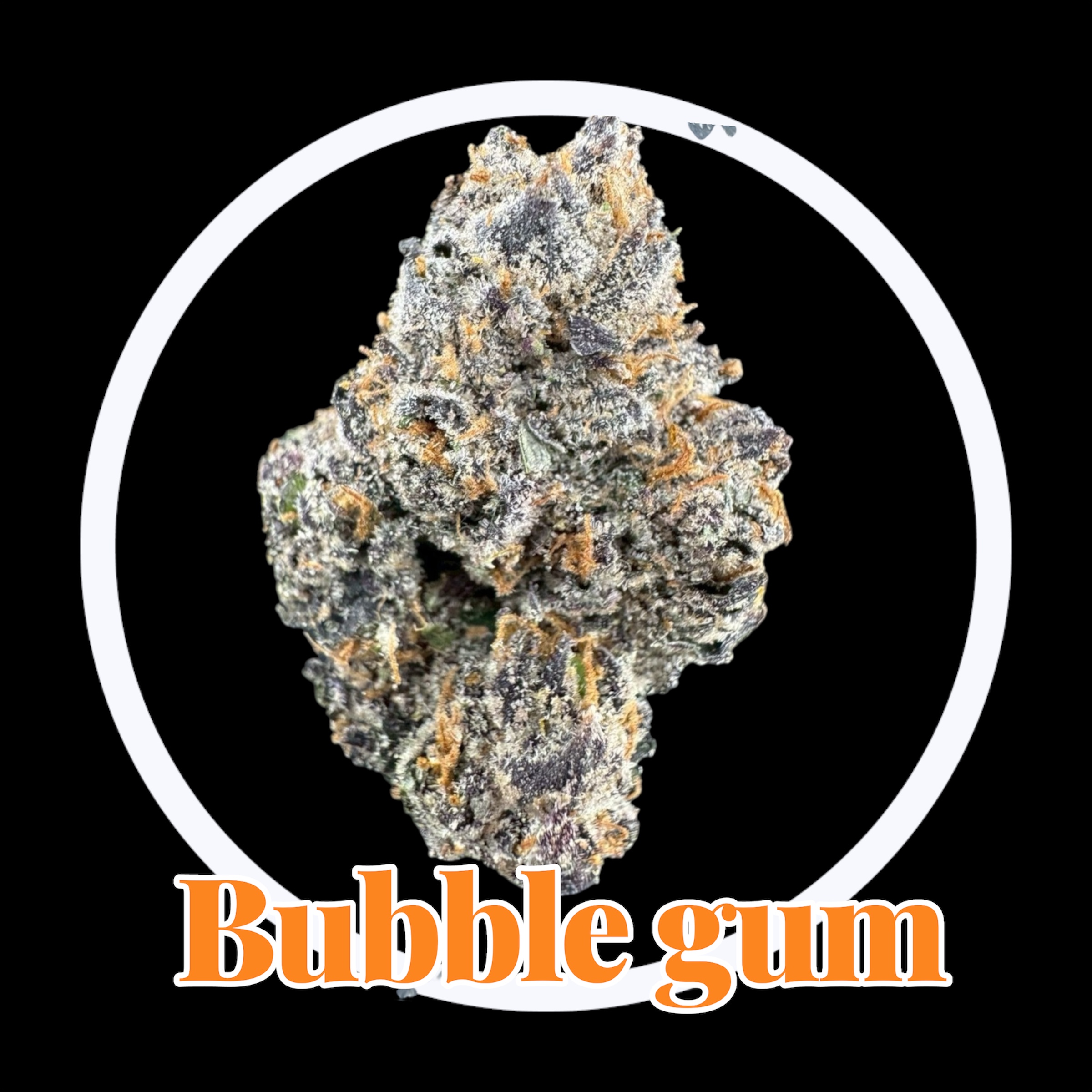 29-11-25 10-56-54pm.jpg